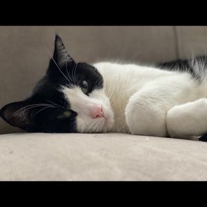 Meet your Posher, Kaylee